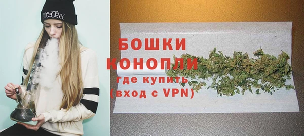 гашик Липки