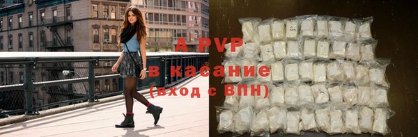 гашик Липки