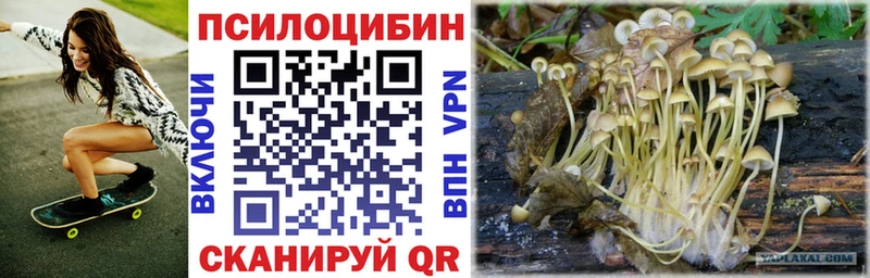 Галлюциногенные грибы Psilocybe  цены наркотик  Струнино 
